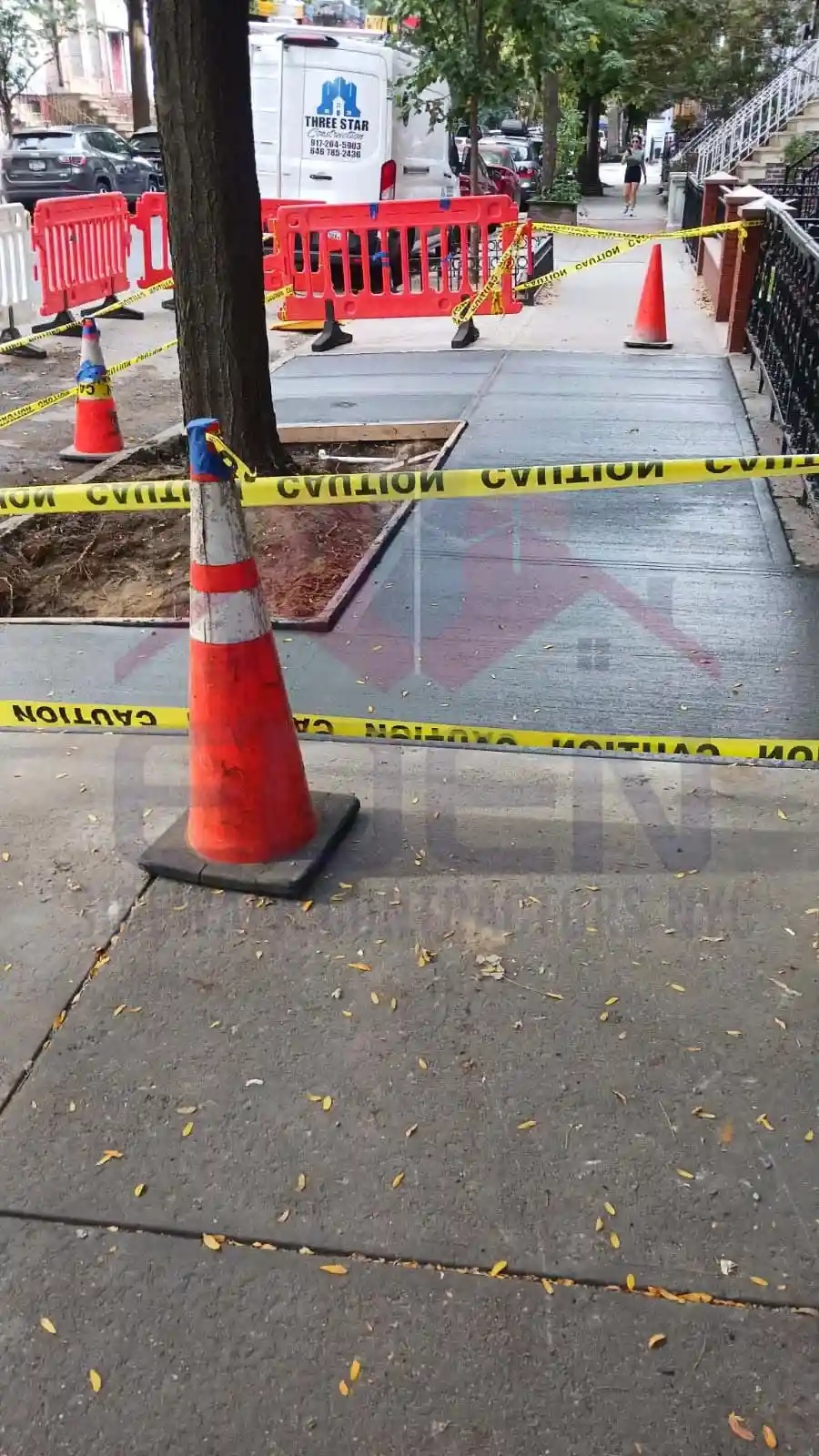 Roofs of Our Residential Property
